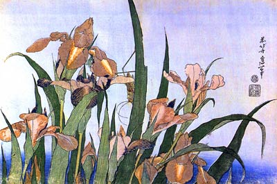 Irises, flowers Katsushika Hokusai