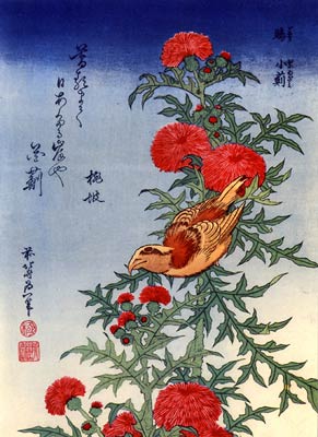 Crossbill, Bird on a Thistle Katsushika Hokusai