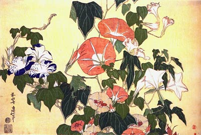 Convolvulus and Tree Frog Katsushika Hokusai