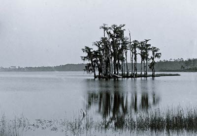 Lake Louise Seville Florida 1880's