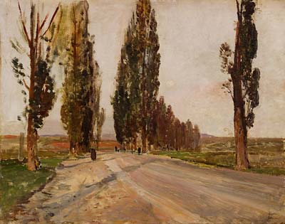 Boulevard of Poplars near Plankenberg