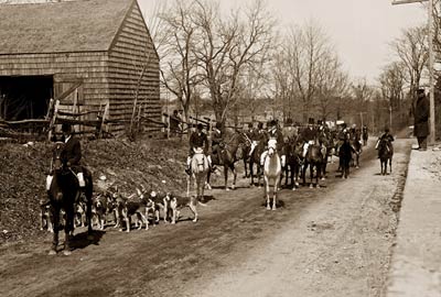 Horses and hunting dogs, Meadowbrook Hunt