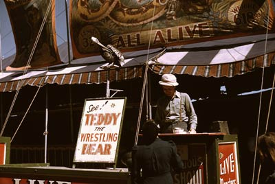 See Teddy the wrestling bear Vermont state fair 1941