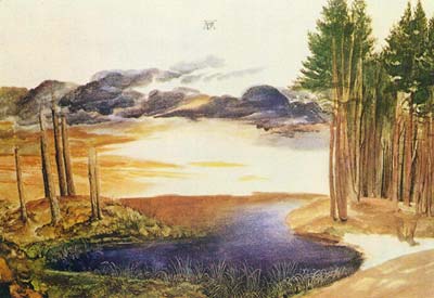 Pond in the wood, Albrecht Durer