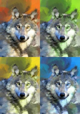 Gray Wolf Pop Art