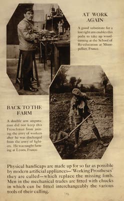 At work again Back to the farm WWI Exhibit Poster