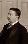President Theodore Roosevelt in the White House