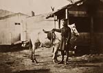 Colonel Goodlake with horse, Crimean War