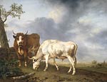 Oxen in a Meadow Jan Kobell II