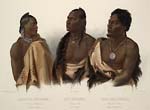 A missouri indian an oto indian and the chief of the puncas