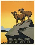 National parks Preserve Wildlife Poster