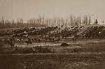 Horse artillery on parade grounds - civil war 1860's.
