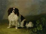 A King Charles Spaniel in a Landscape